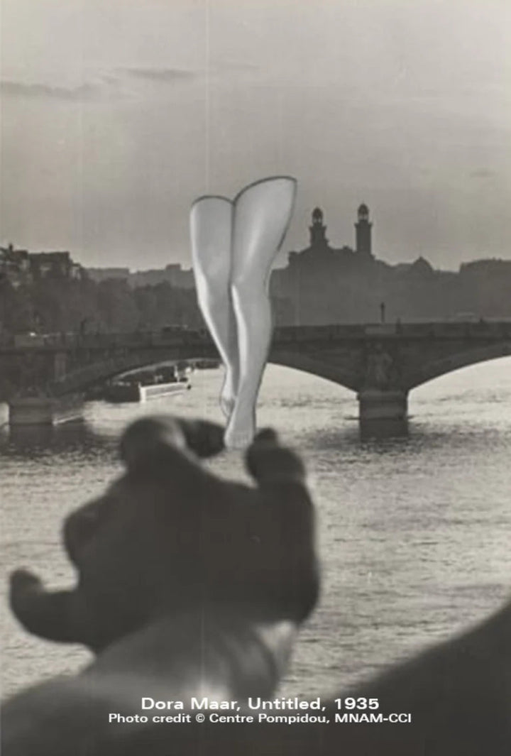 Maar Earrings - Gold by Alejandra de Coss at White Label Project