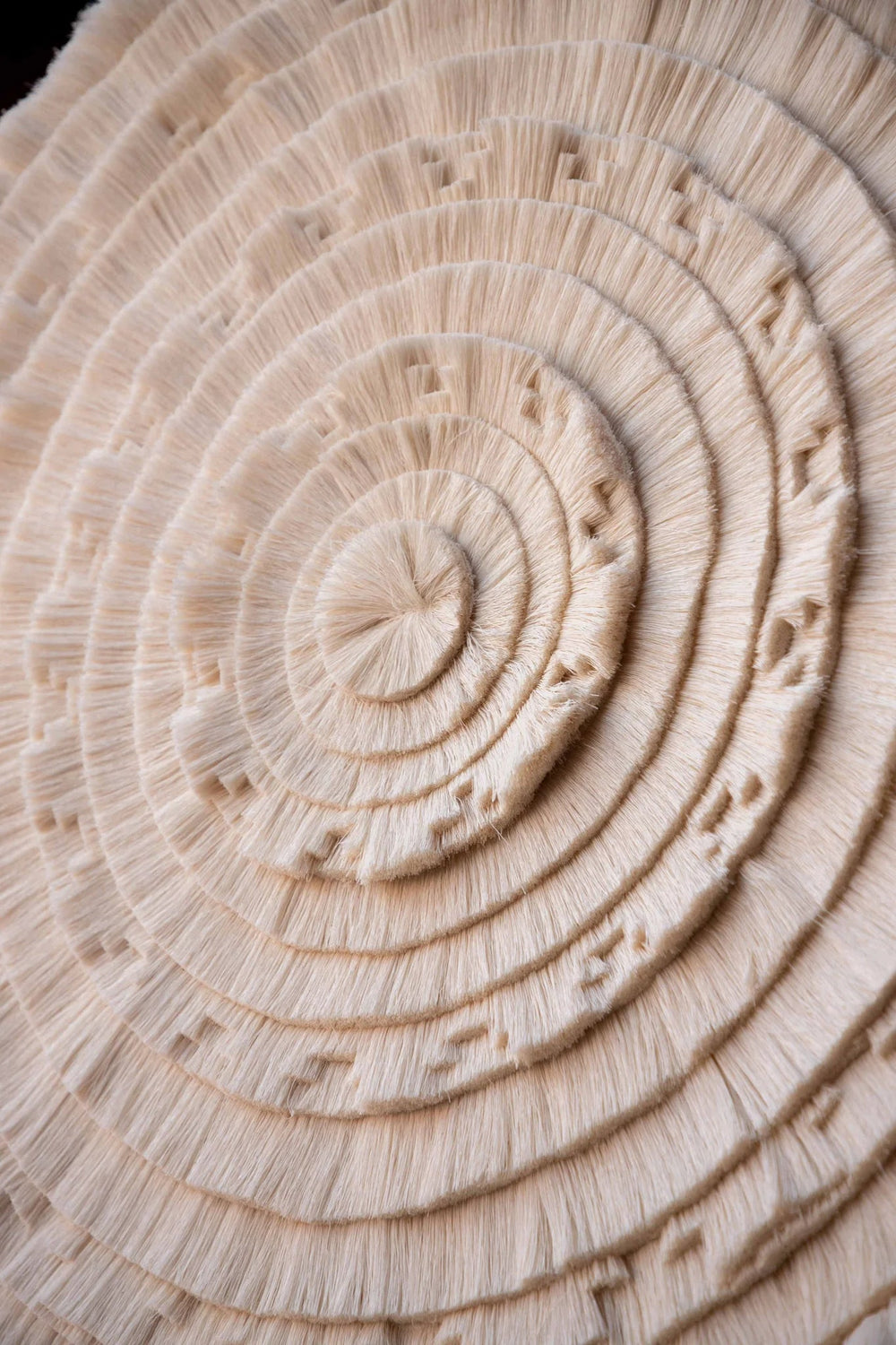 Aztec Calendario Wall Hanger by Caralarga at White Label Project