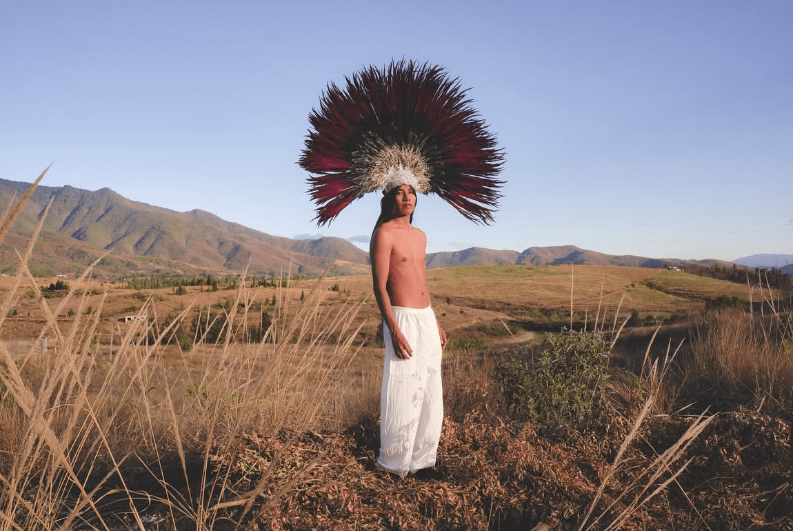 Penacho - Enrique Leyva by Enrique Leyva at White Label Project