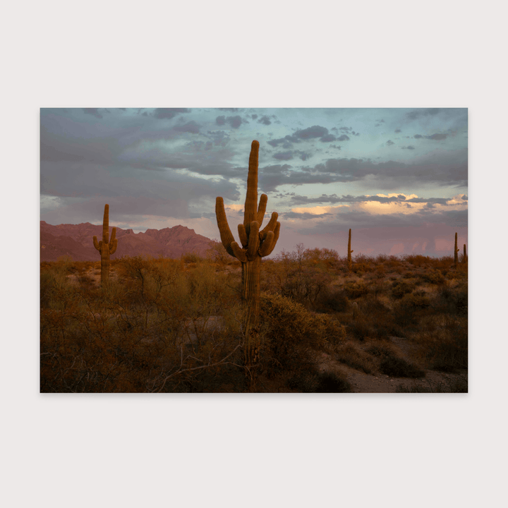 Arizona Dream - Matilde Gattoni by Matilde Gattoni at White Label Project