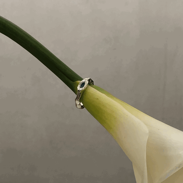 Amparo Ring — Ruby by Curadox at White Label Project