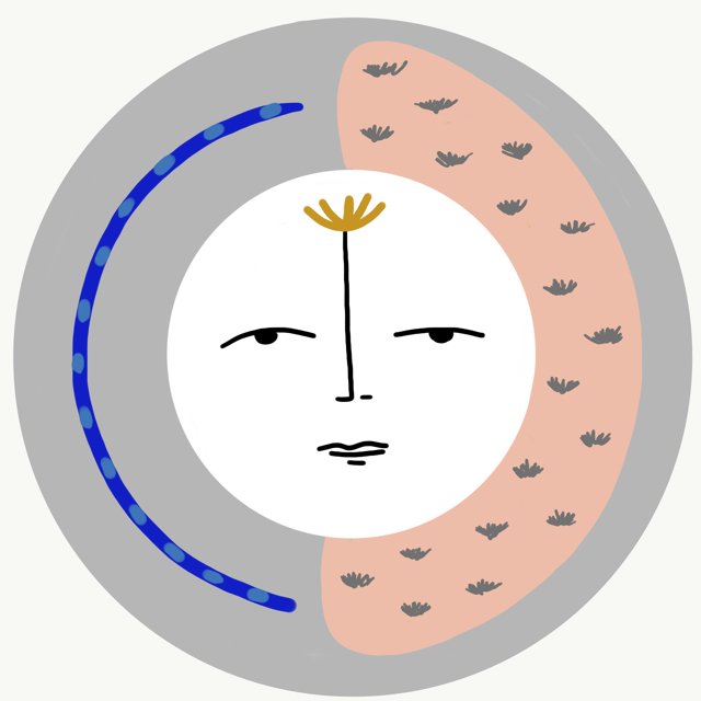 Sol Rug - grey by M.A at White Label Project