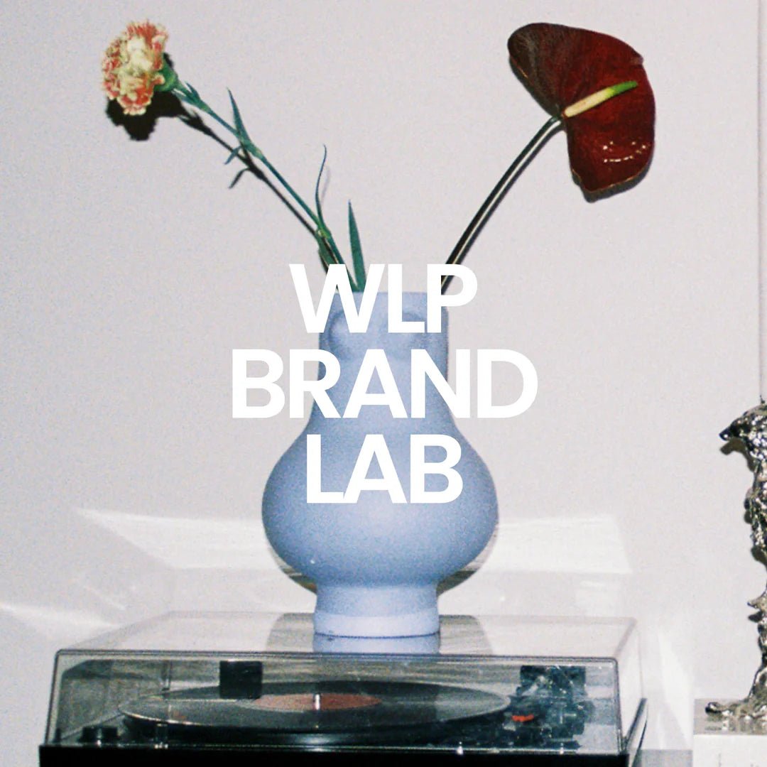 Recap WLP Coaching Series - White Label Project