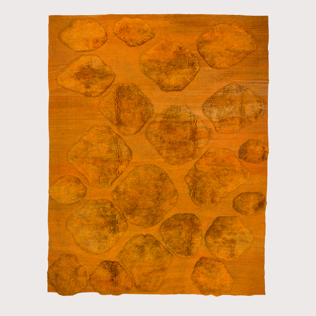 Curcuma Area Rug