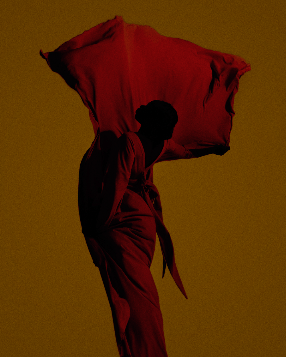 Incarnadine - Djeneba Aduayom by Djeneba Aduayom at White Label Project