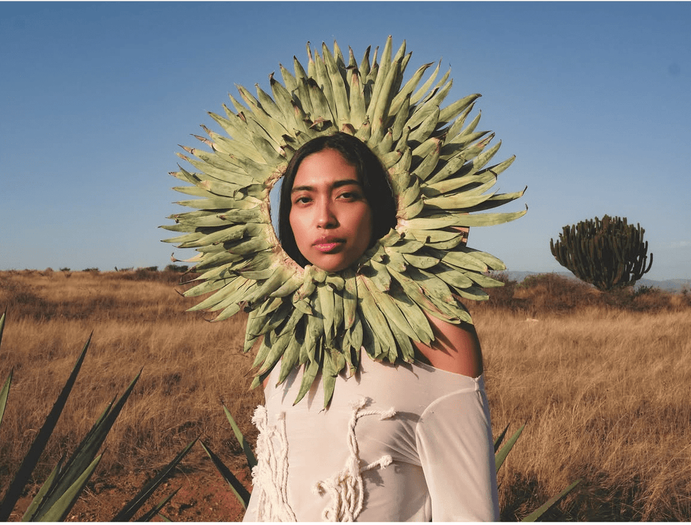 Mayahuel - Enrique Leyva by Enrique Leyva at White Label Project