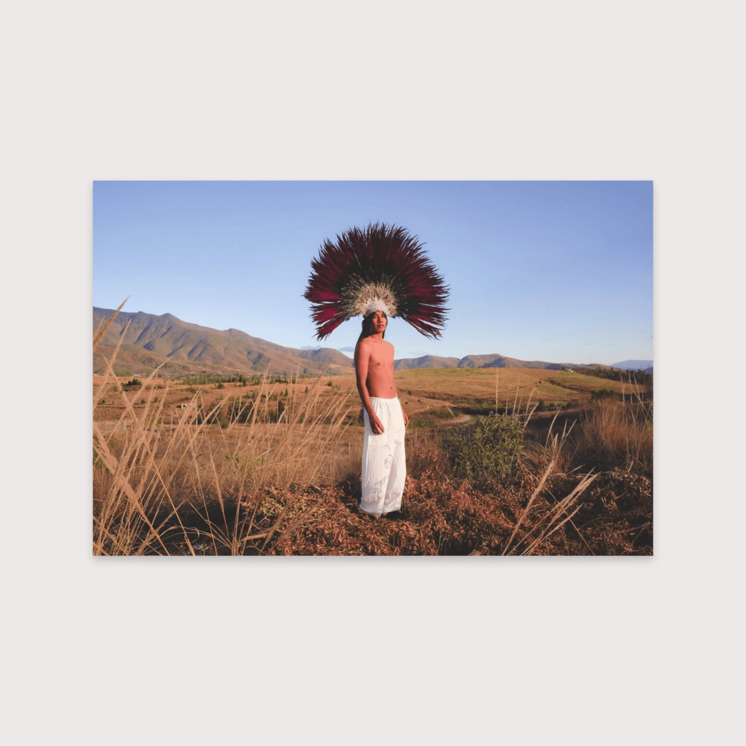 Penacho - Enrique Leyva by Enrique Leyva at White Label Project