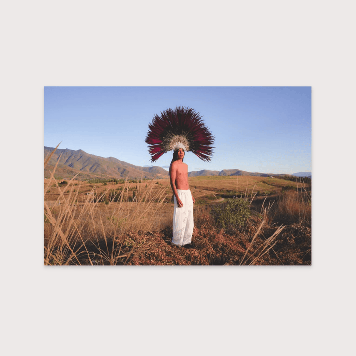 Penacho - Enrique Leyva by Enrique Leyva at White Label Project