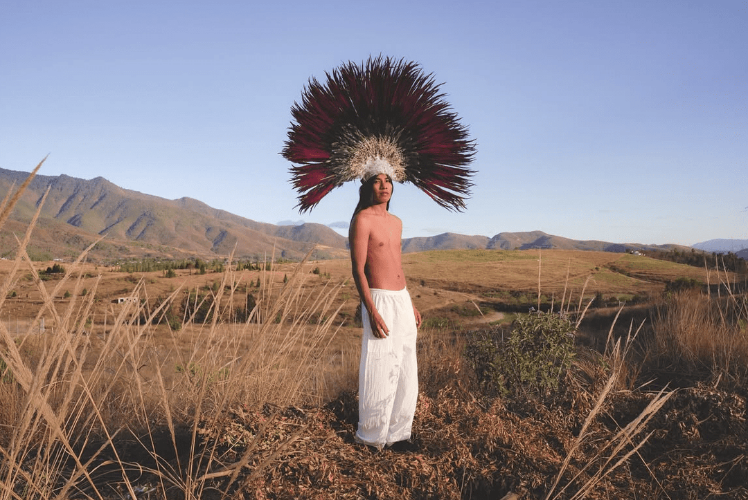 Penacho - Enrique Leyva by Enrique Leyva at White Label Project