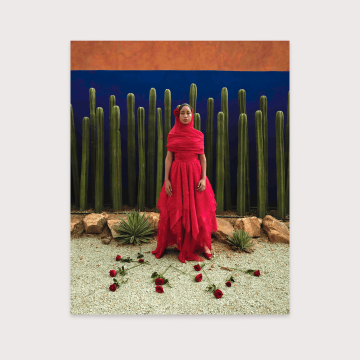 Roses for Adelita - Enrique Leyva by Enrique Leyva at White Label Project