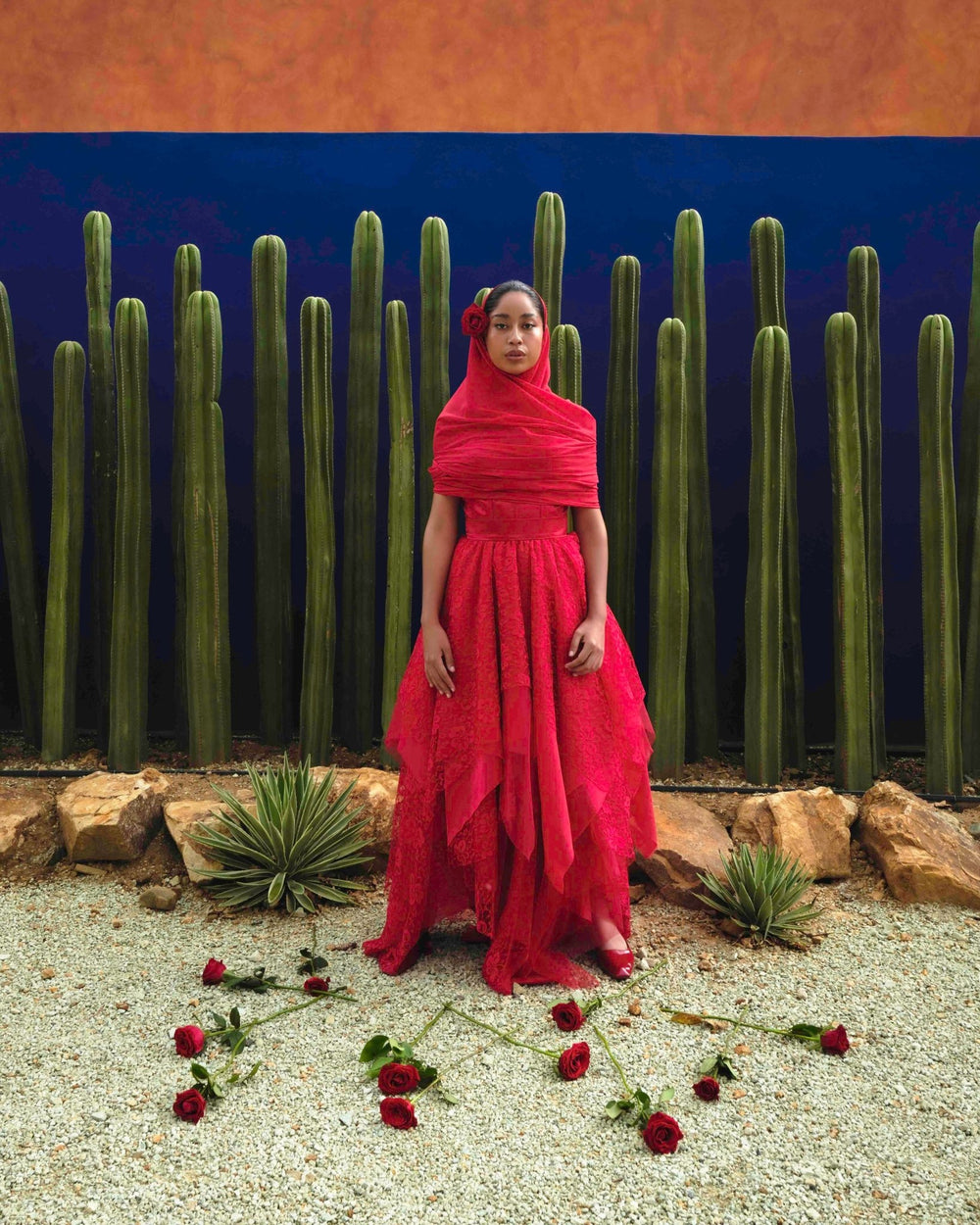 Roses for Adelita - Enrique Leyva by Enrique Leyva at White Label Project