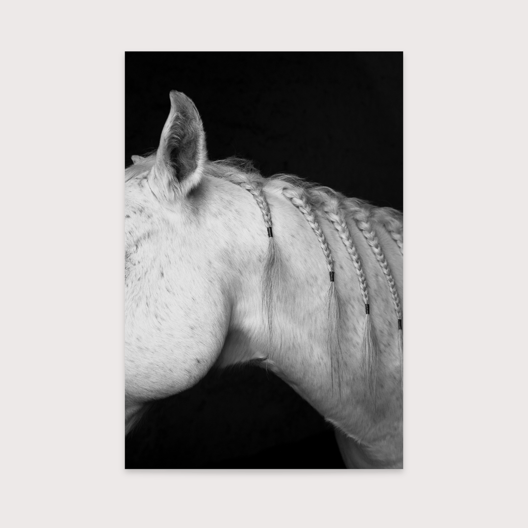 The Horses - Gabriela Alatorre by Gabriela Alatorre at White Label Project
