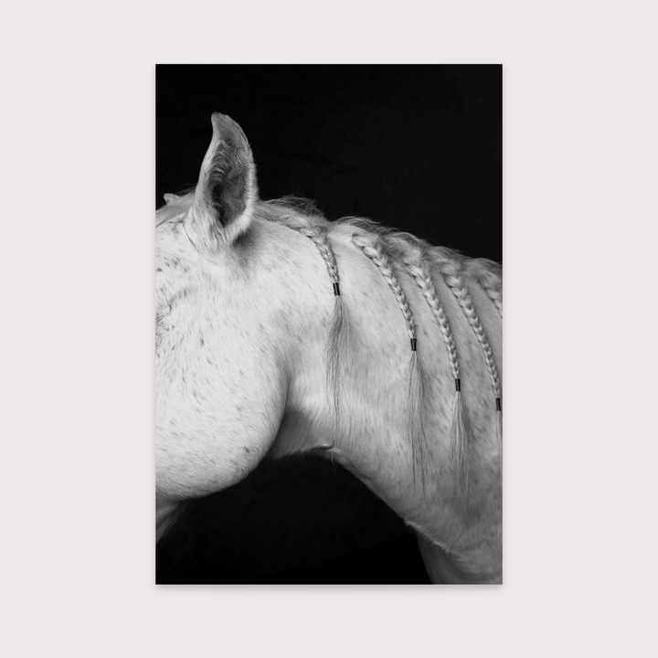 The Horses - Gabriela Alatorre by Gabriela Alatorre at White Label Project