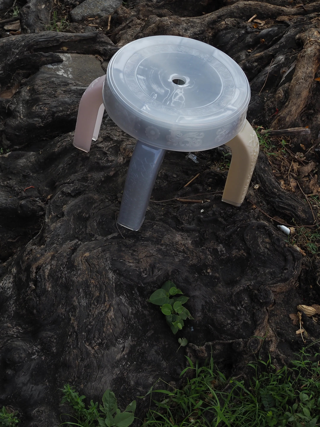 Squat Stool - Lychee