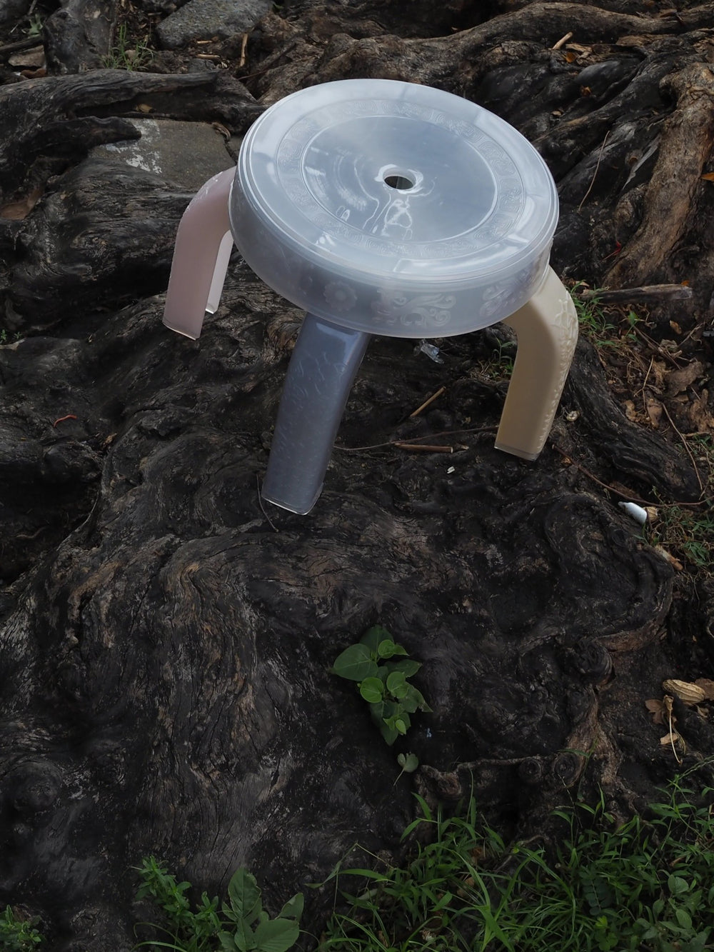 Squat Stool - Lychee by Rumbá Bor at White Label Project